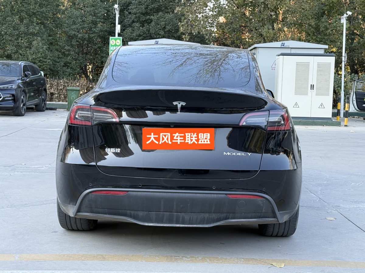 特斯拉 Model 3  2020款 改款 長續(xù)航后輪驅(qū)動(dòng)版圖片