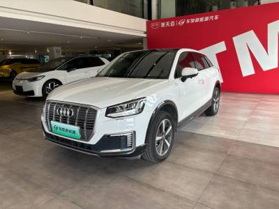 2021年5月 奥迪 Q2L e-tron e-tron 纯电智享型图片