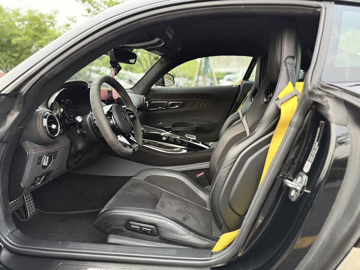 奔馳 奔馳AMG GT  2019款 AMG GT R圖片