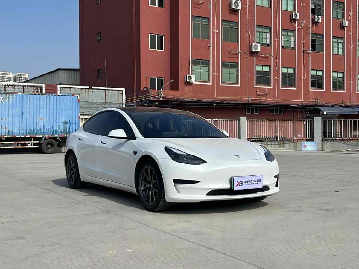 特斯拉 Model 3  2021款 改款 標(biāo)準(zhǔn)續(xù)航后驅(qū)升級(jí)版圖片