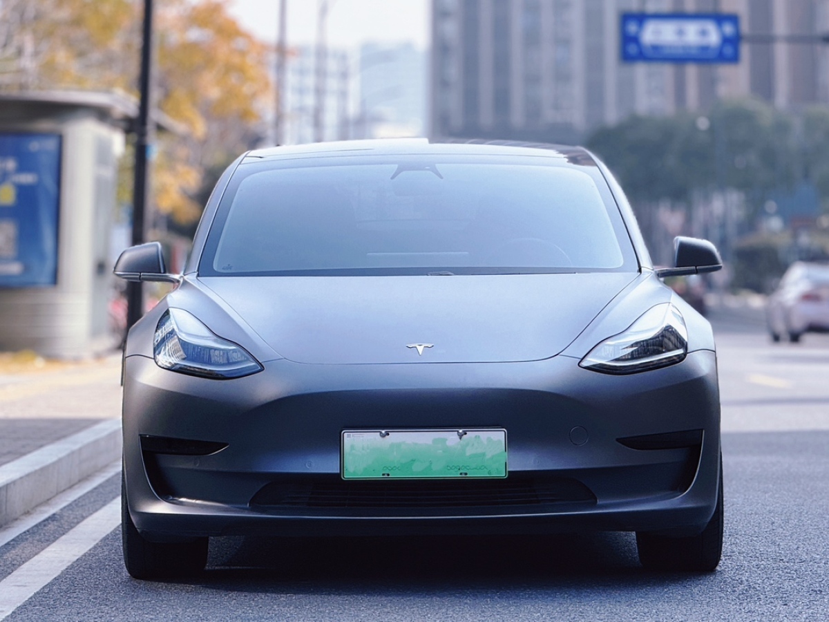 特斯拉 Model 3  2020款 改款 標準續(xù)航后驅升級版圖片