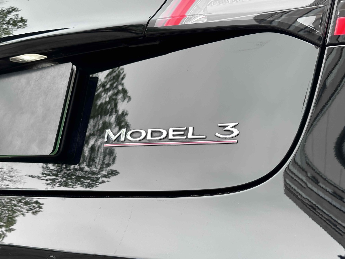 2021年6月特斯拉 Model 3  2019款 Performance高性能全轮驱动版