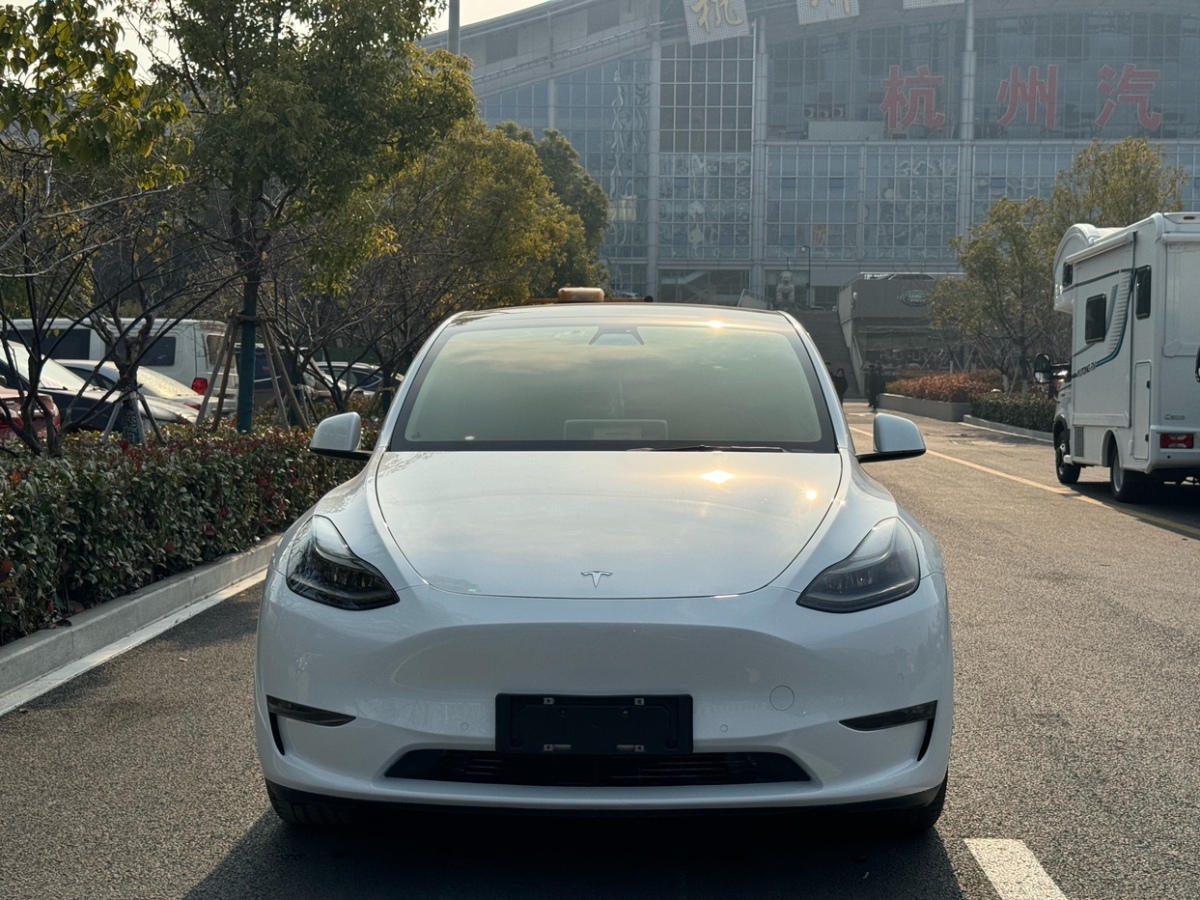 特斯拉 Model Y  2021款 標(biāo)準(zhǔn)續(xù)航后驅(qū)版圖片