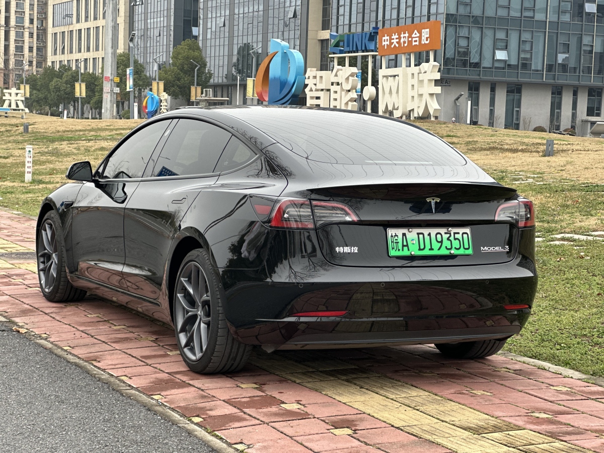 特斯拉 Model 3  2019款 Performance高性能全輪驅(qū)動(dòng)版圖片