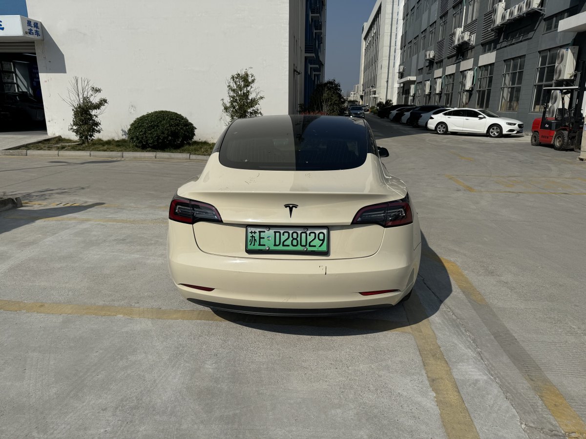 2020年3月特斯拉 Model 3  2019款 標(biāo)準(zhǔn)續(xù)航后驅(qū)升級(jí)版