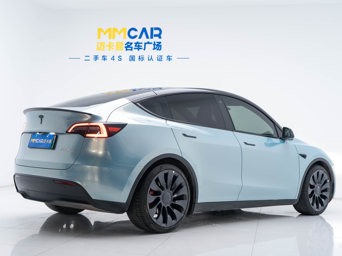 特斯拉 Model 3  2022款 Performance高性能全輪驅(qū)動(dòng)版圖片