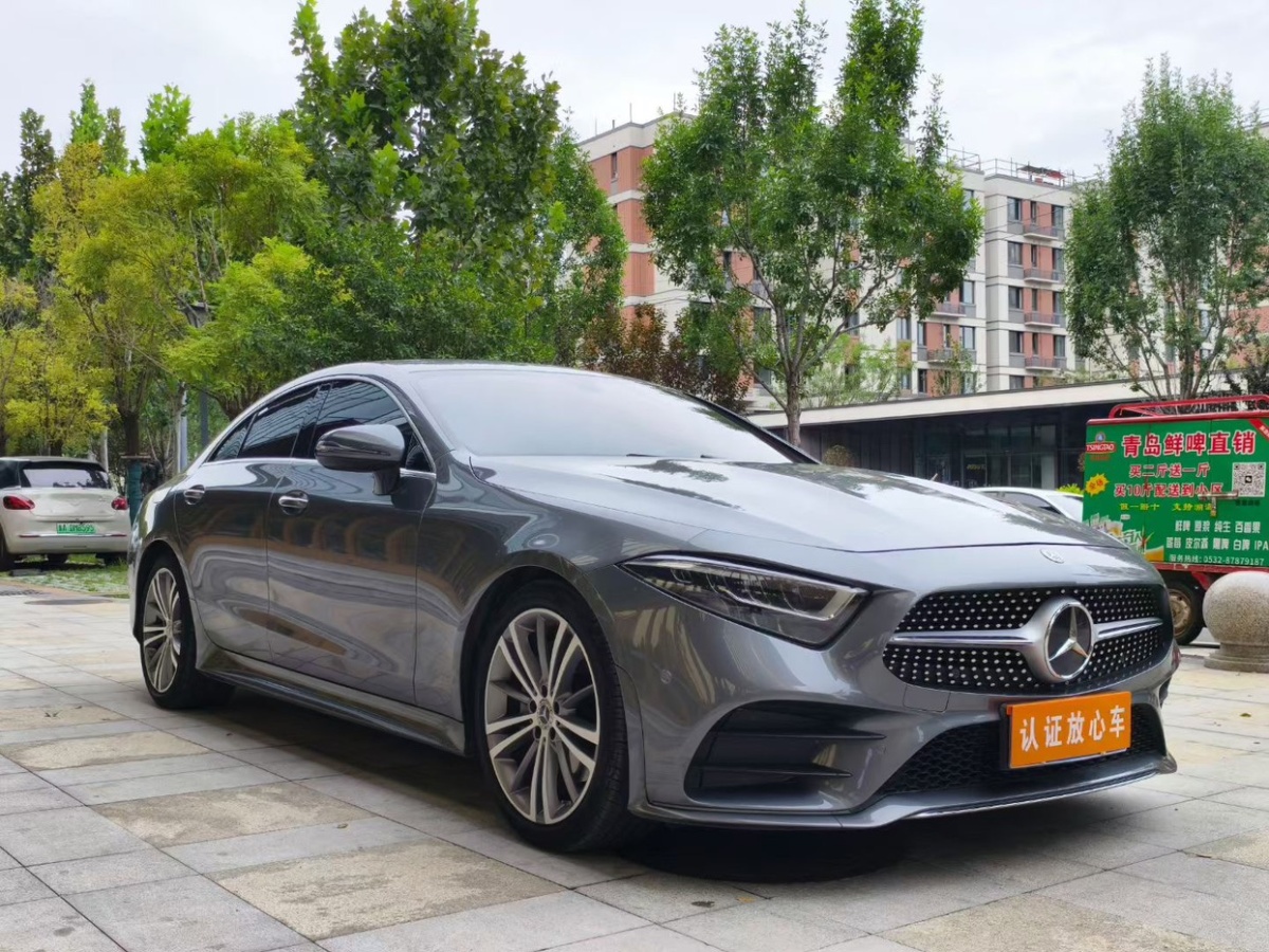 奔驰 奔驰CLS级  2020款 CLS 300 动感型图片