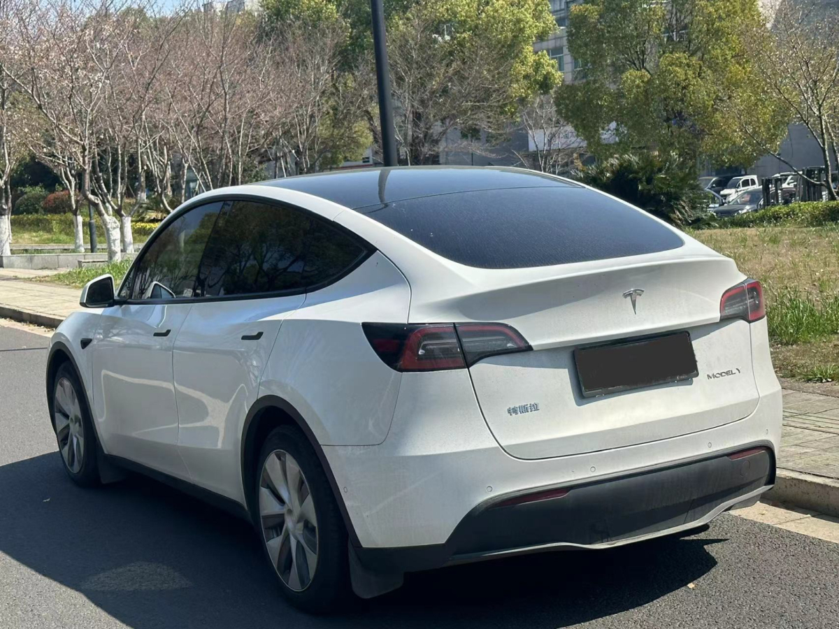 2022年2月特斯拉 Model Y  2022款 后驅(qū)版