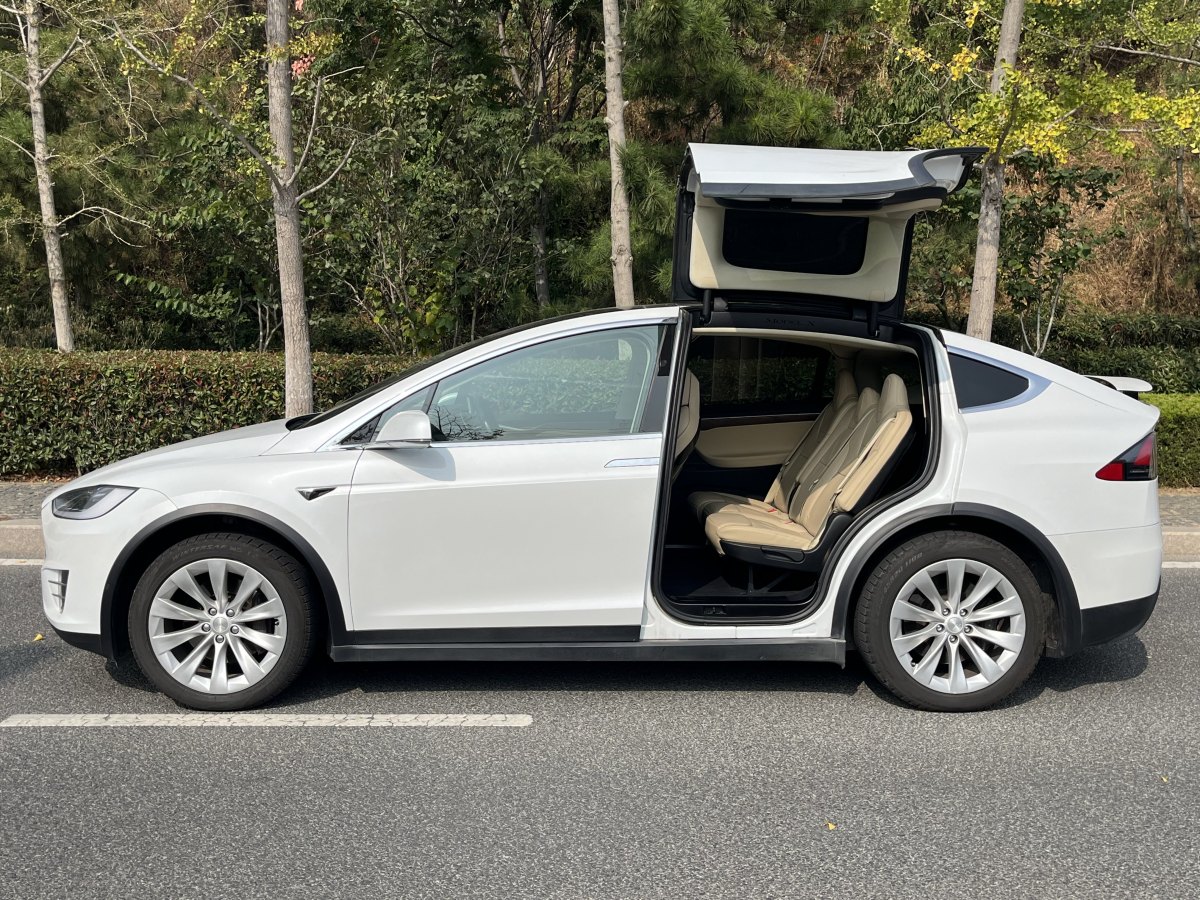 2017年4月特斯拉 Model X  2016款 Model X 60D