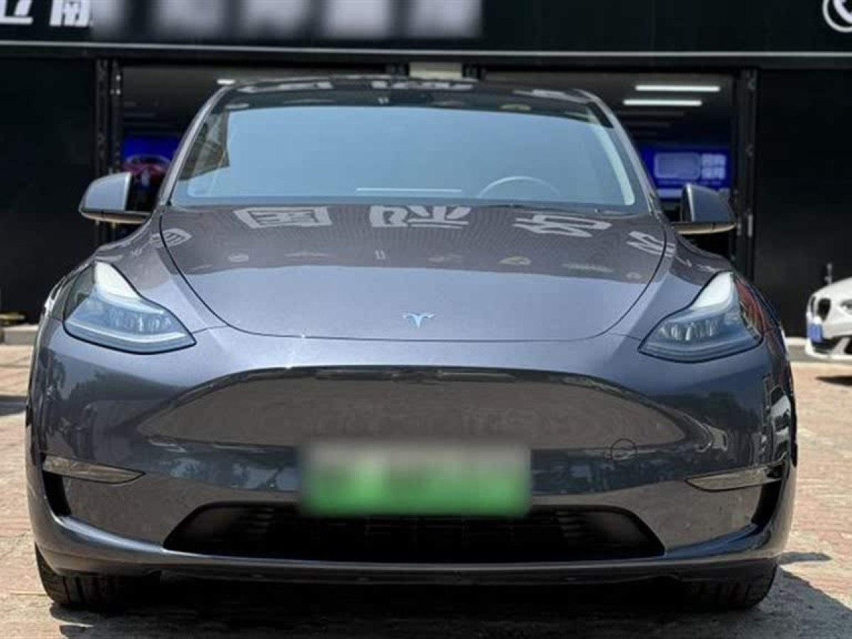 特斯拉 Model Y  2021款 標準續(xù)航后驅(qū)版圖片