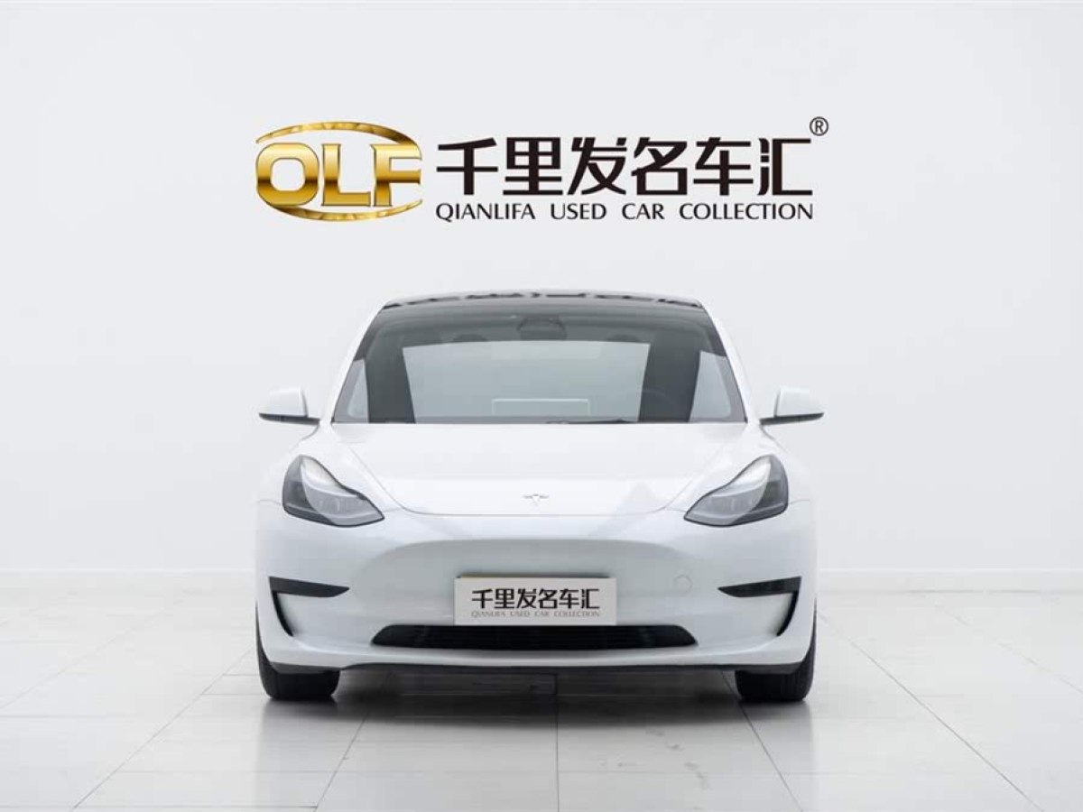 特斯拉 Model 3  2022款 后輪驅(qū)動版圖片