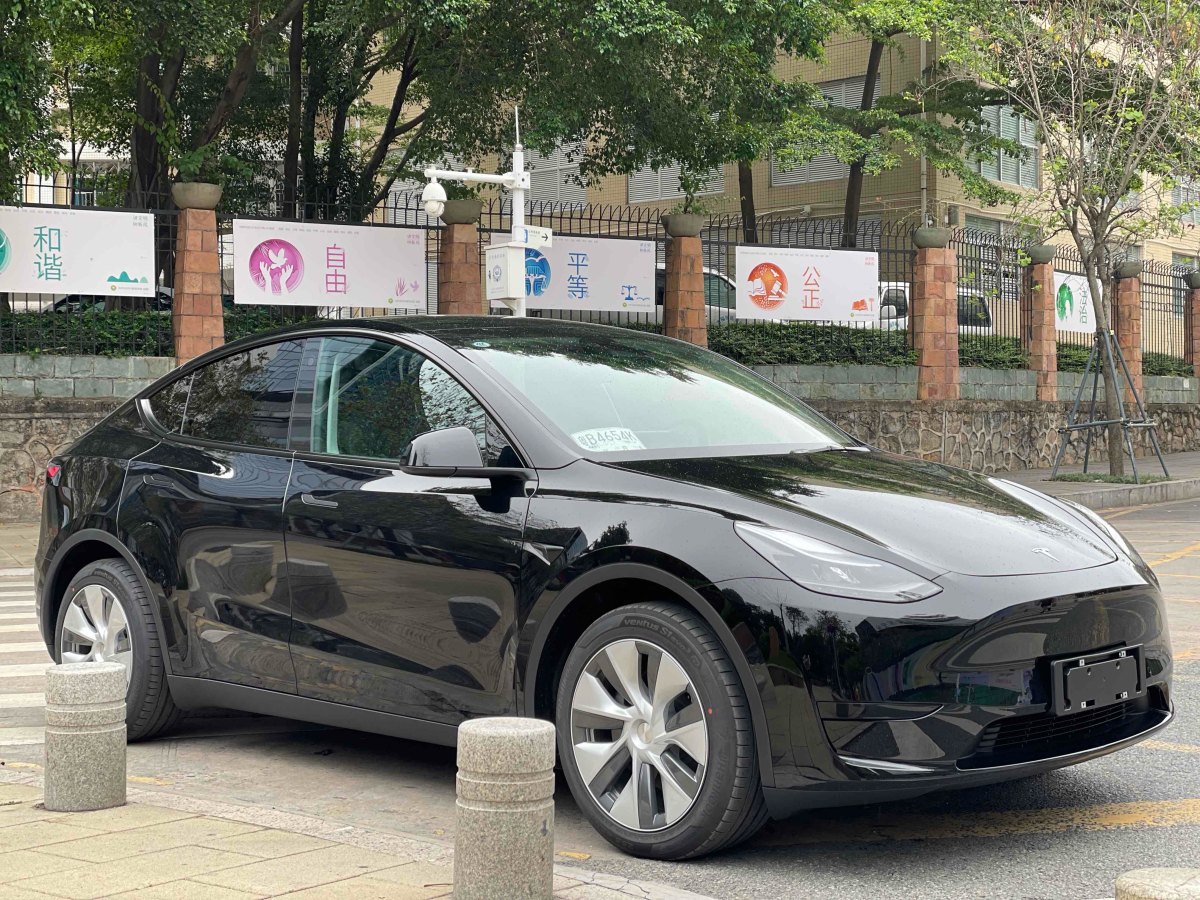 特斯拉 Model 3  2022款 后輪驅(qū)動(dòng)版圖片