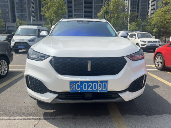 WEY VV6  2019款  2.0T 两驱超豪型 国VI