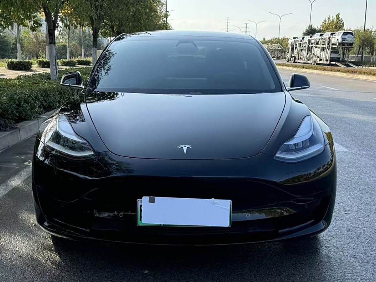 特斯拉 Model 3  2020款 改款 標(biāo)準(zhǔn)續(xù)航后驅(qū)升級版圖片