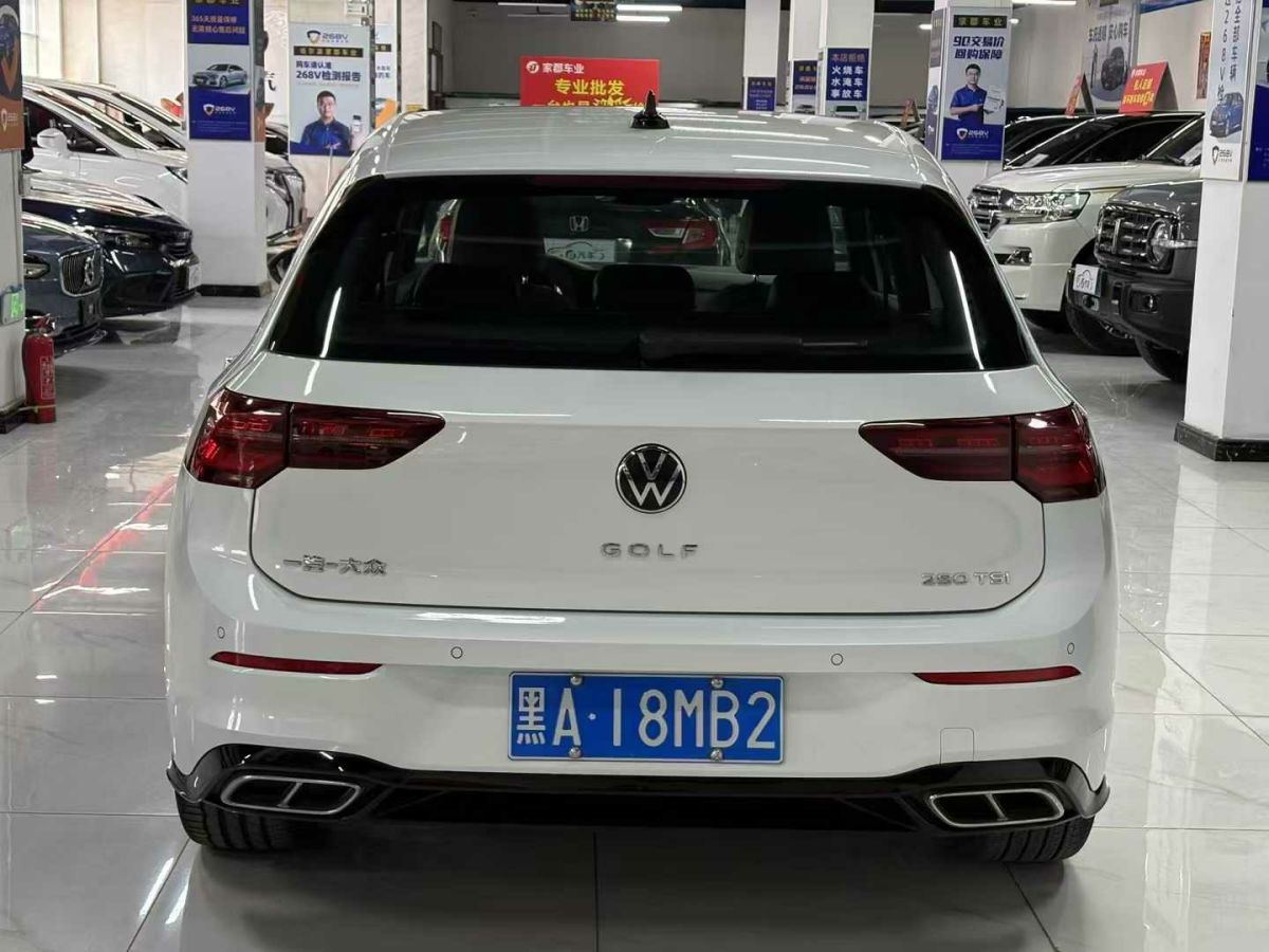 大眾 高爾夫 圖片