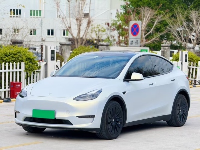 2021年8月 特斯拉 Model Y 標準續(xù)航后驅(qū)版圖片