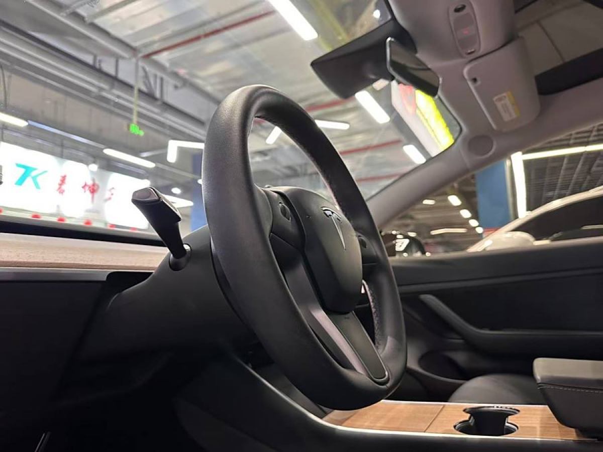 特斯拉 Model 3  2020款 改款 標(biāo)準(zhǔn)續(xù)航后驅(qū)升級(jí)版圖片