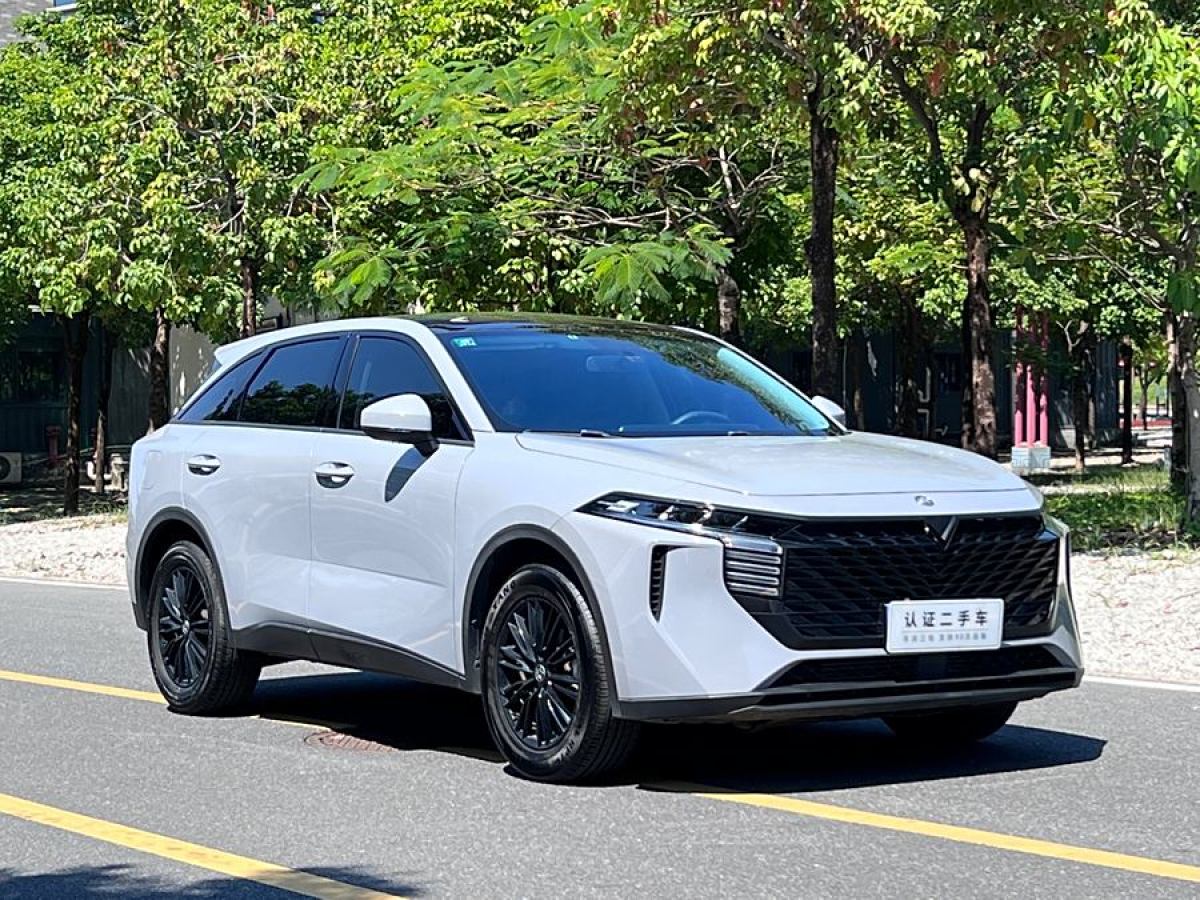 2022年6月啟辰 啟辰大V  2021款 260T 愛(ài)豆版