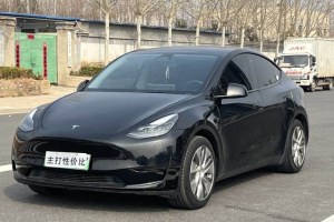 Model Y 特斯拉 改款 后輪驅(qū)動版