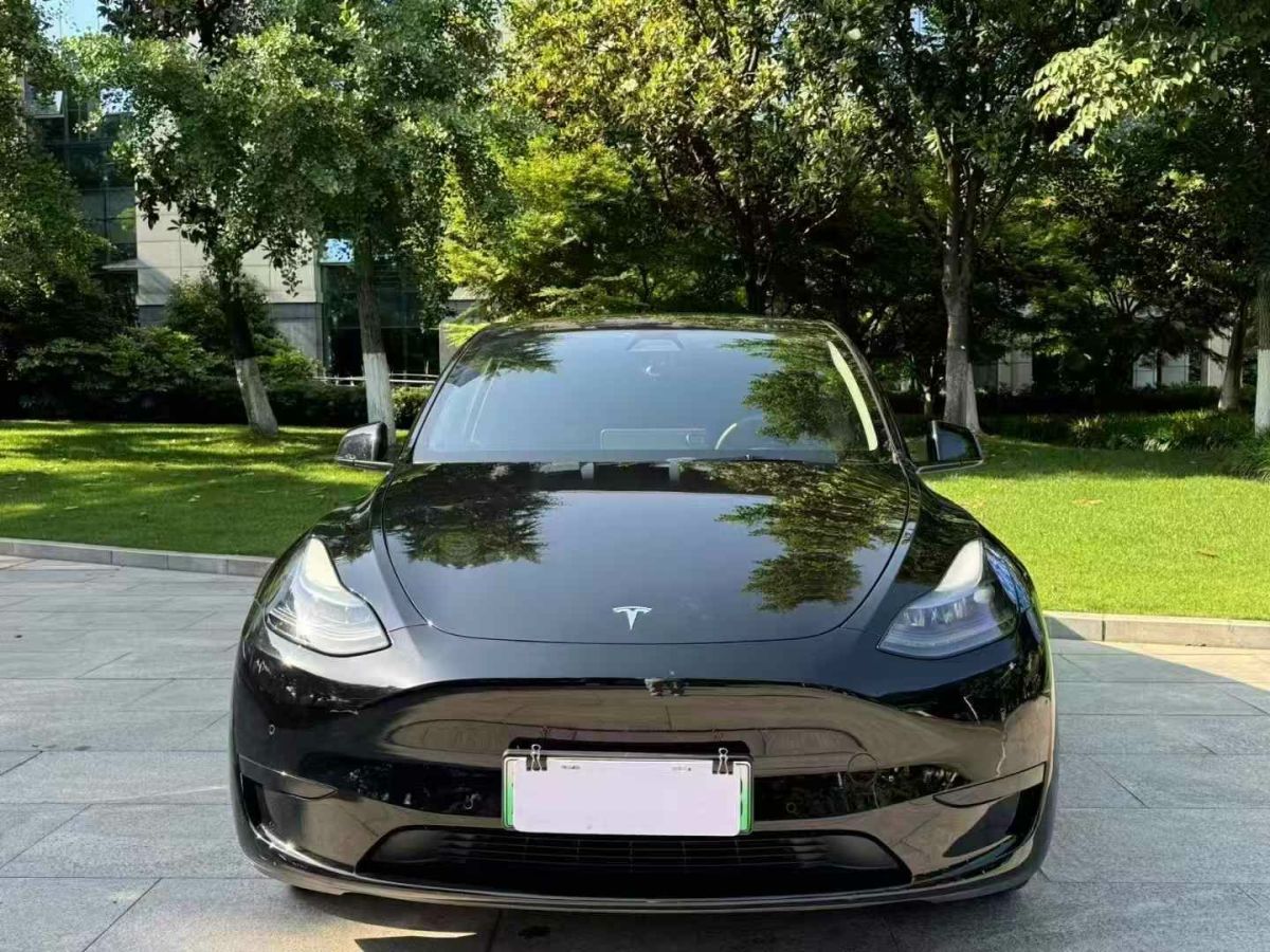 特斯拉 Model Y  2022款 Performance高性能全輪驅(qū)動版圖片