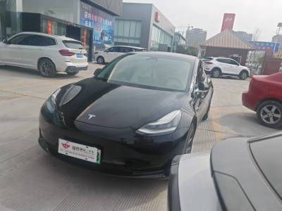 2020年8月 特斯拉 Model 3 標(biāo)準(zhǔn)續(xù)航后驅(qū)升級版圖片