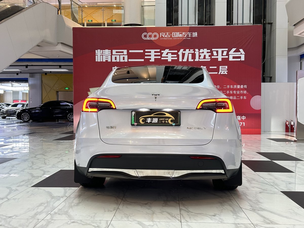 特斯拉 Model Y  2020款 改款 長(zhǎng)續(xù)航后輪驅(qū)動(dòng)版圖片