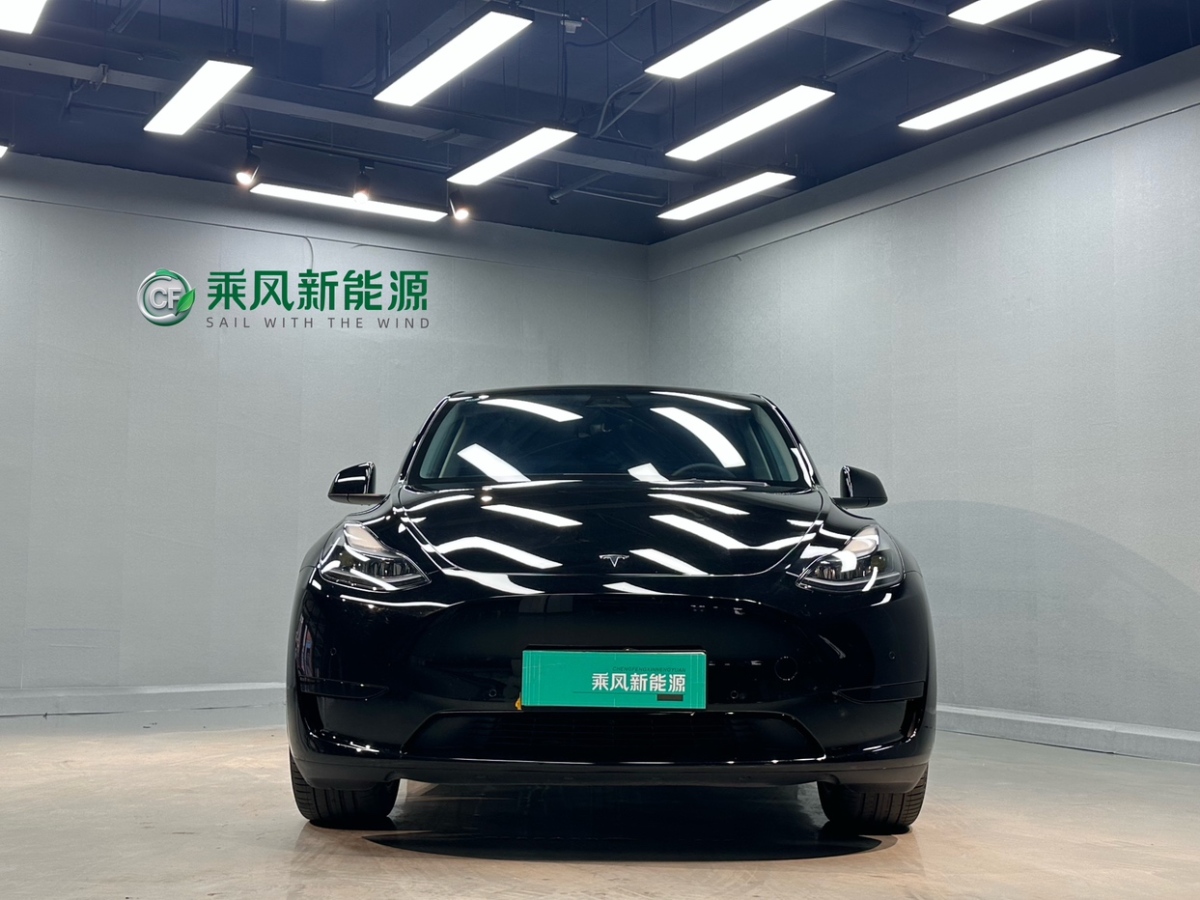 特斯拉 Model Y  2022款 改款 長續(xù)航全輪驅(qū)動版圖片