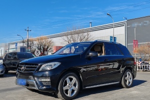 奔馳M級 奔馳 ML 350 豪華型