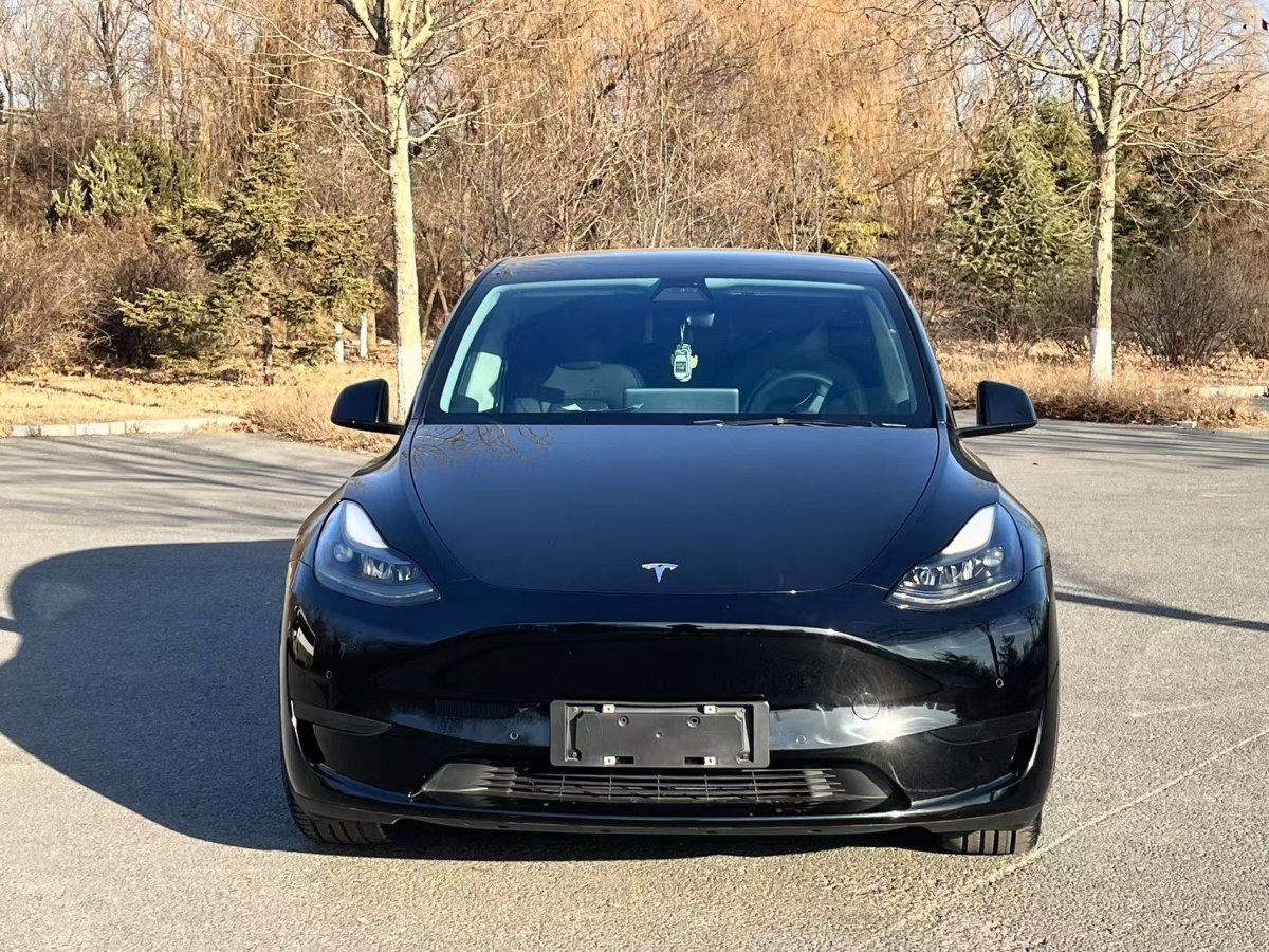 特斯拉 Model 3  2022款 后輪驅(qū)動版圖片