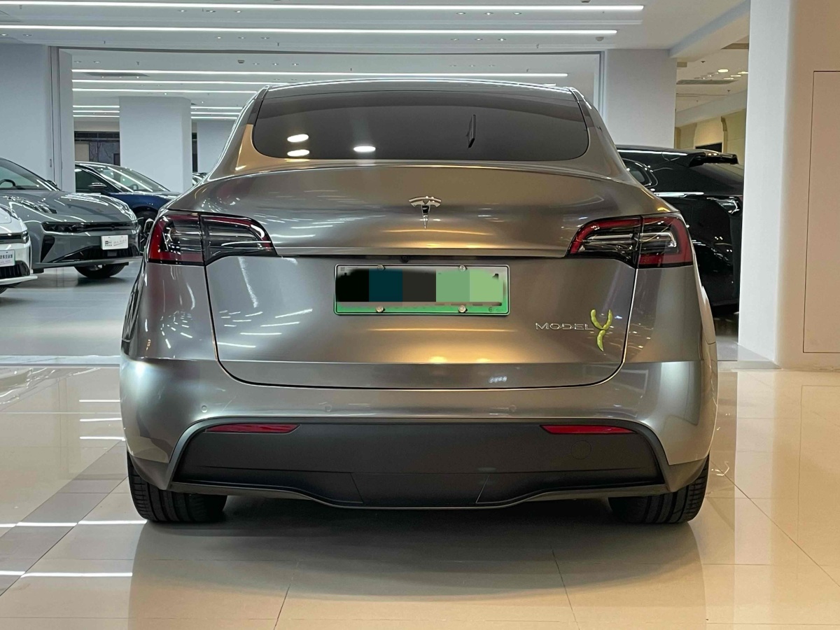 特斯拉 Model 3  2020款 改款 長(zhǎng)續(xù)航后輪驅(qū)動(dòng)版圖片