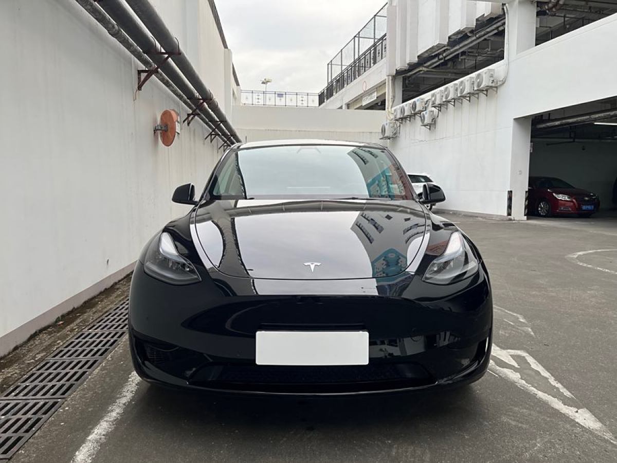 特斯拉 Model Y  2020款 改款 長續(xù)航后輪驅(qū)動版圖片