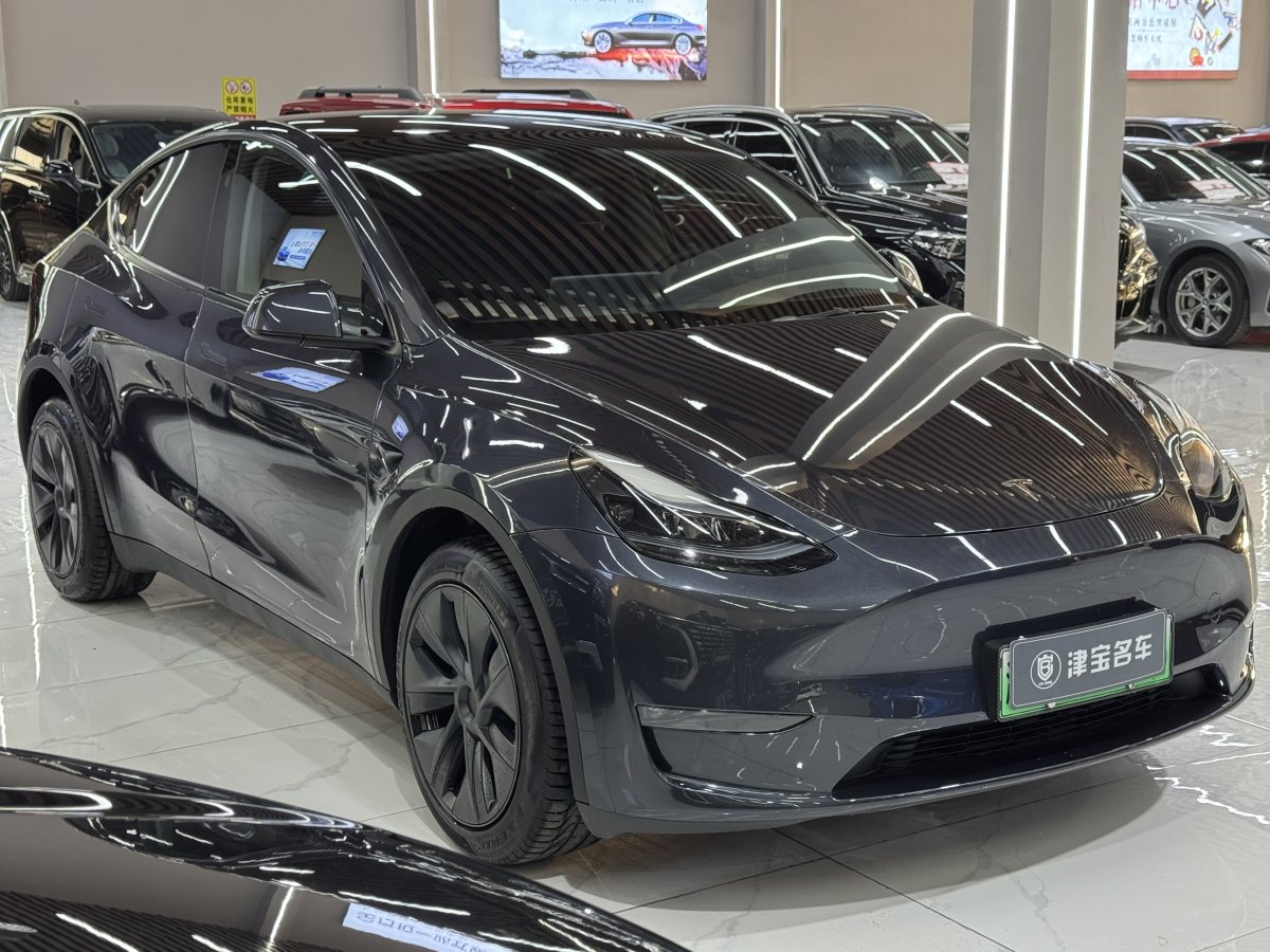 特斯拉 Model 3  2023款 長續(xù)航煥新版 雙電機(jī)全輪驅(qū)動圖片