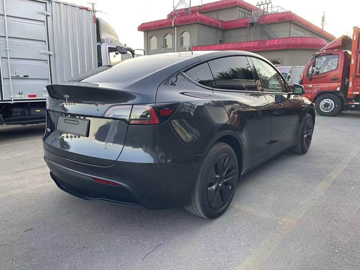 特斯拉 Model Y  2020款 改款 長(zhǎng)續(xù)航后輪驅(qū)動(dòng)版圖片