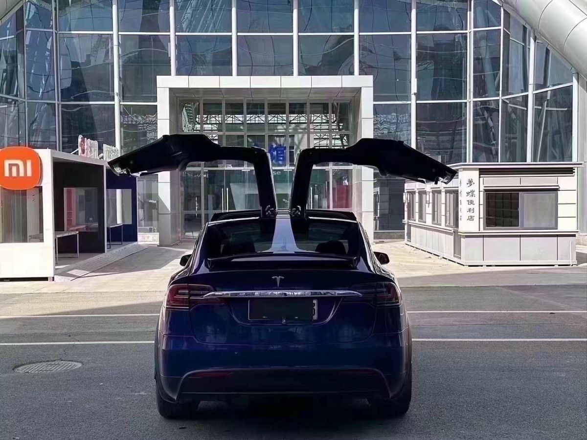 特斯拉 Model X  2020款 Performance 高性能版圖片