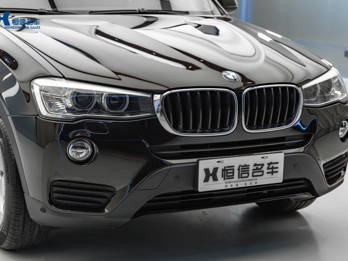 寶馬 寶馬X3  2014款 xDrive20i 領先型圖片