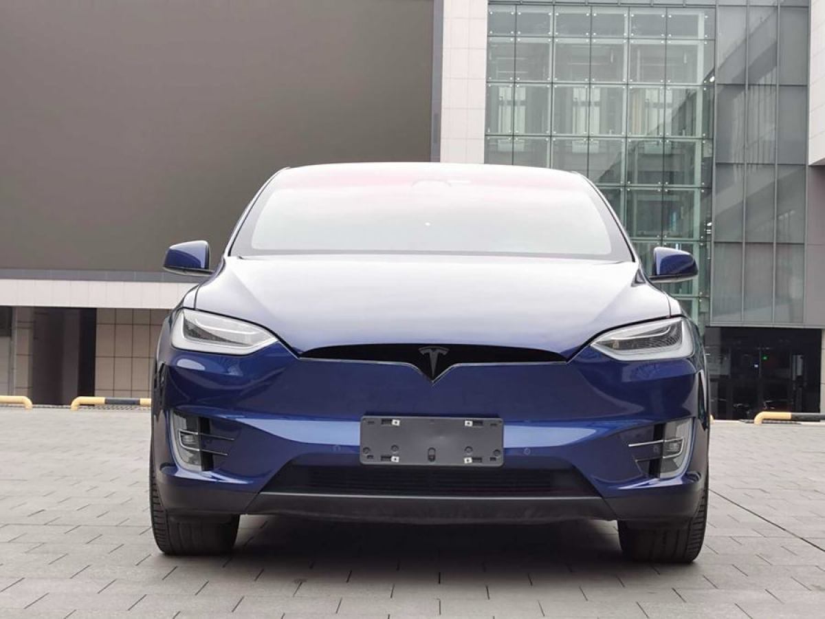 特斯拉 Model X  2020款 長(zhǎng)續(xù)航升級(jí)版圖片