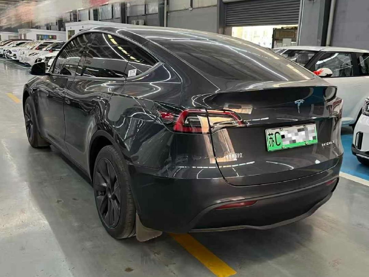 特斯拉 Model Y  2024款 Performance高性能版圖片