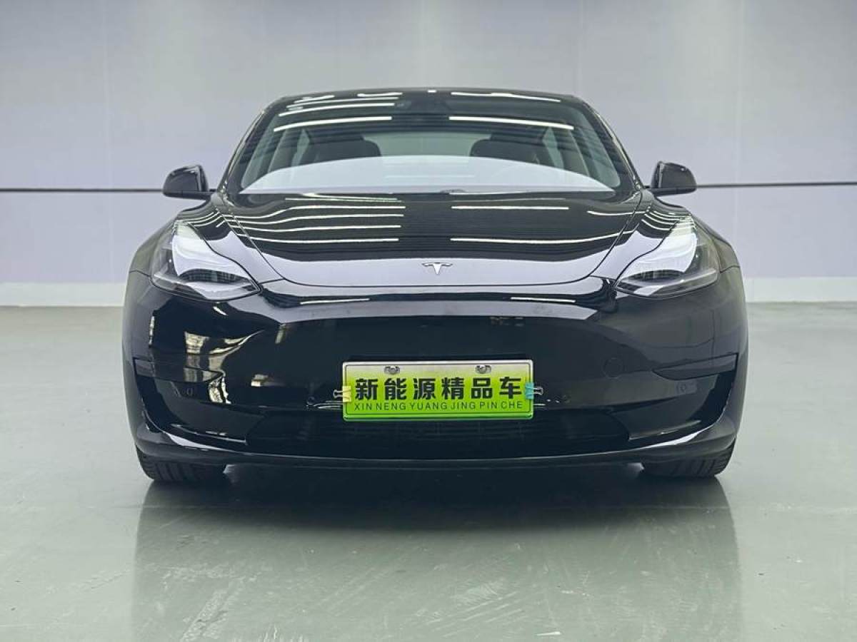 2021年7月特斯拉 Model 3  2021款 標(biāo)準(zhǔn)續(xù)航后驅(qū)升級版 3D6