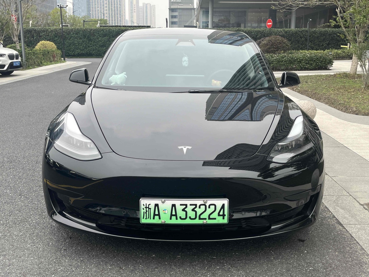 特斯拉 Model Y  2021款 標(biāo)準(zhǔn)續(xù)航后驅(qū)升級(jí)版 3D6圖片