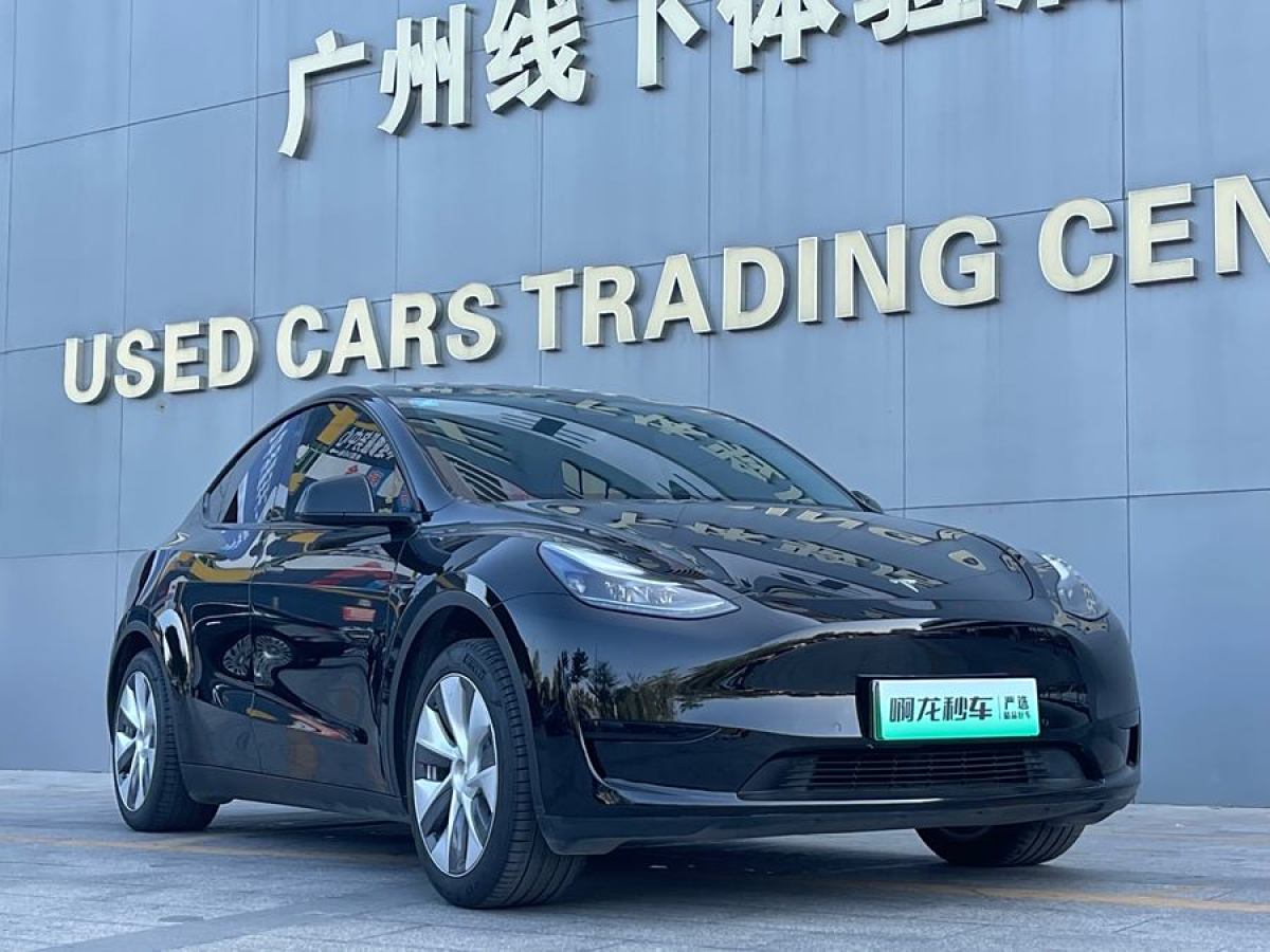 特斯拉 Model 3  2020款 改款 長續(xù)航后輪驅(qū)動版圖片