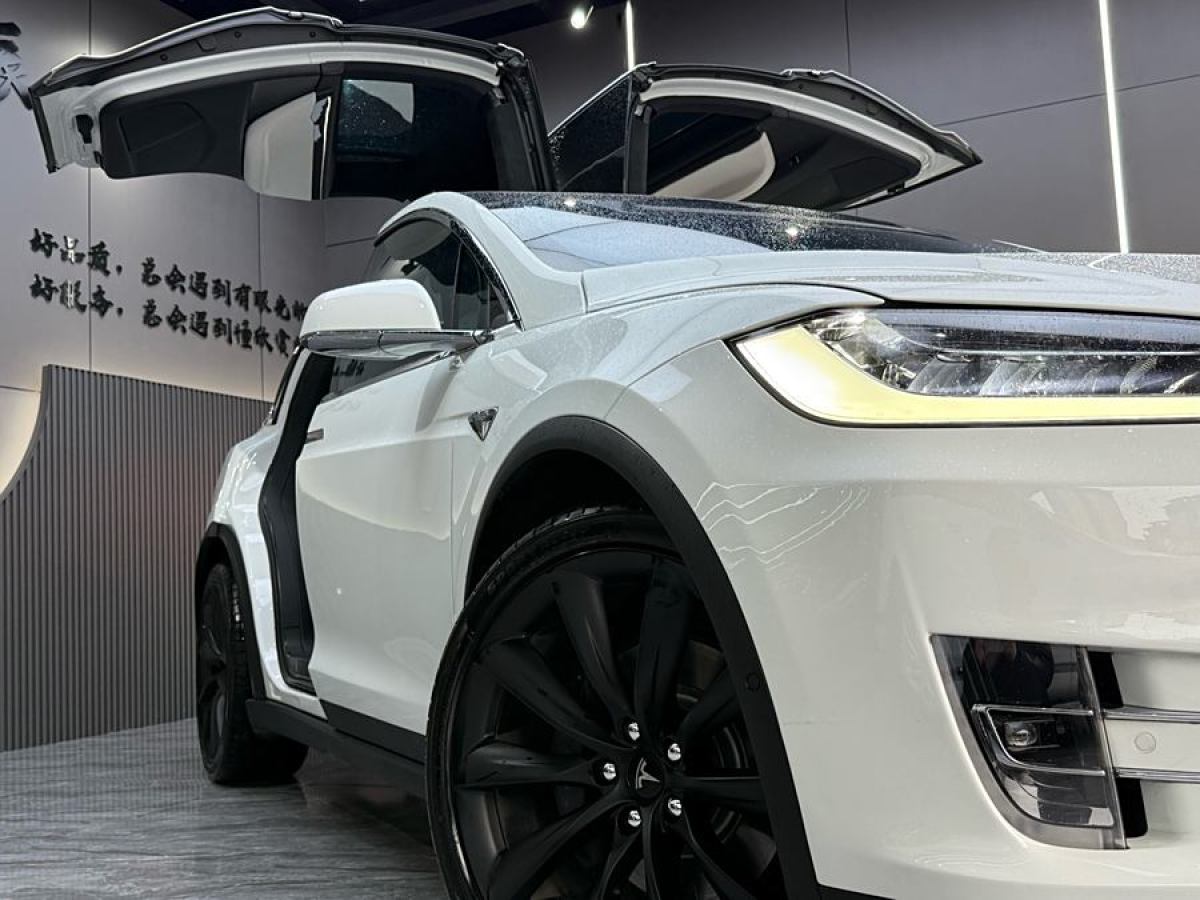 2019年1月特斯拉 Model X  2017款 Model X 100D 長續(xù)航版