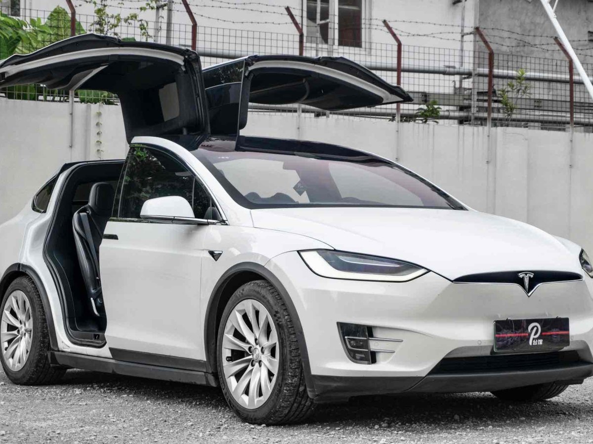 特斯拉 Model X  2019款 長續(xù)航版圖片