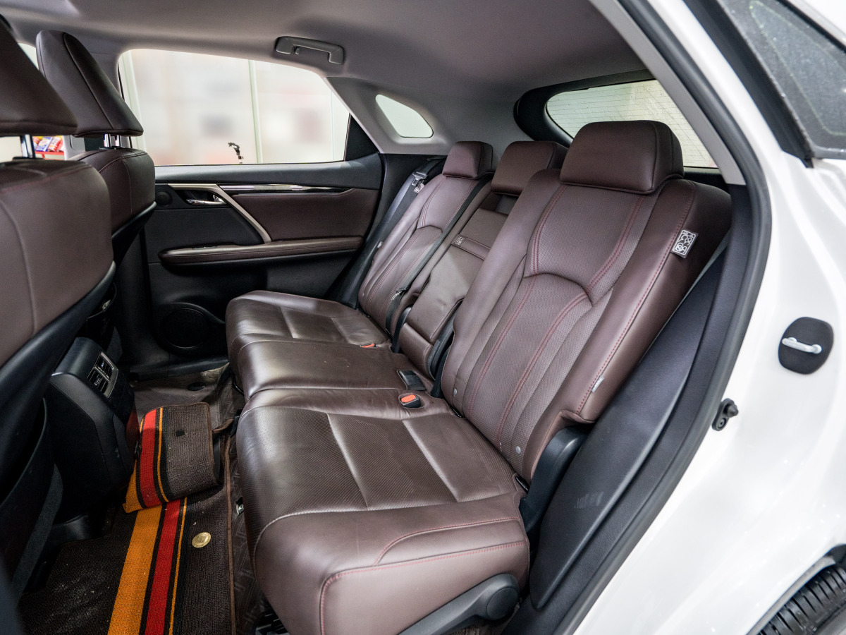 雷克萨斯 RX  2020款 改款 300 两驱舒适版图片