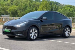 Model Y 特斯拉 后轮驱动版