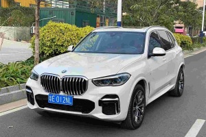 寶馬X5 寶馬 改款 xDrive 30Li 尊享型M運(yùn)動套裝