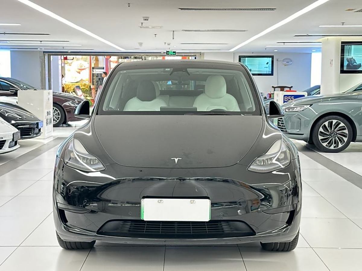 特斯拉 Model 3  2020款 改款 長續(xù)航后輪驅(qū)動版圖片