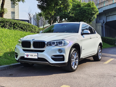 2017年5月 寶馬 寶馬X6(進口) xDrive35i 領(lǐng)先型圖片