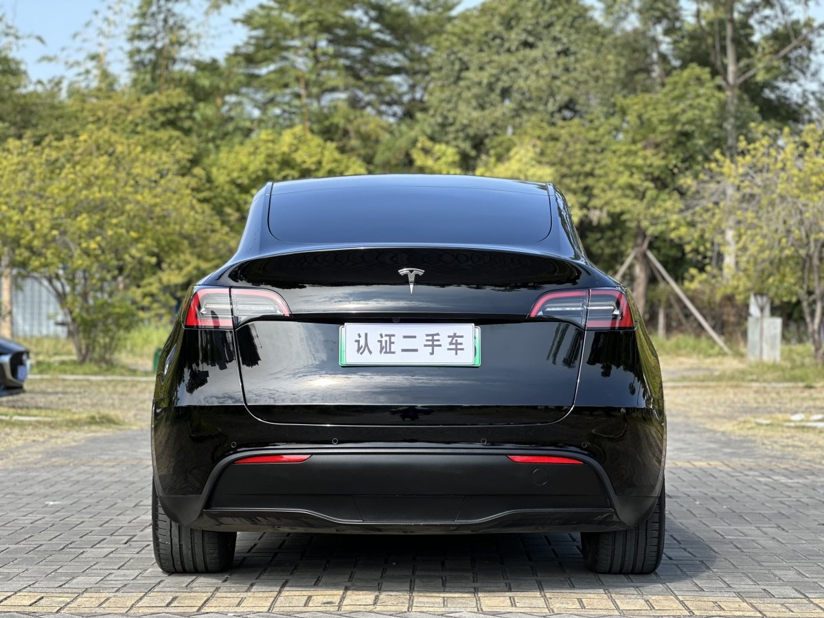 特斯拉 Model 3  2020款 改款 長續(xù)航后輪驅(qū)動版圖片