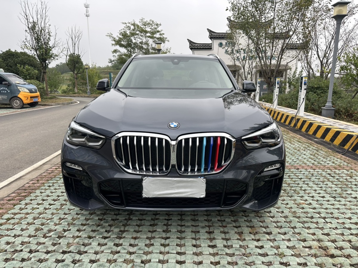 2020年04月寶馬 寶馬X5  2020款 xDrive30i X設(shè)計(jì)套裝