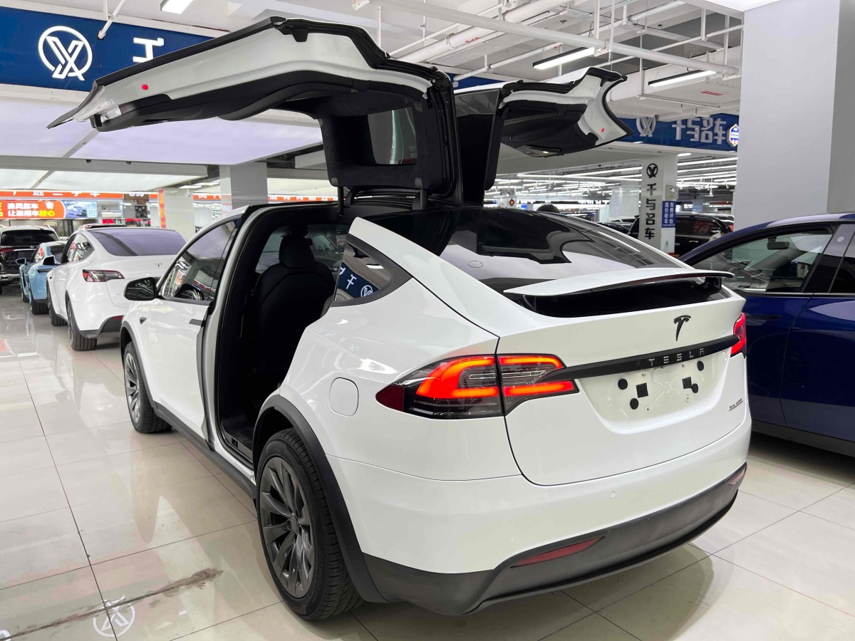 特斯拉 Model X  2019款 長(zhǎng)續(xù)航版圖片